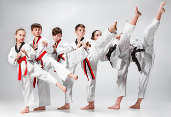 The studio shot of group of kids training karate martial arts