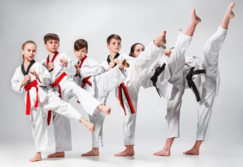 Fototapete The studio shot of group of kids training karate martial arts © master1305