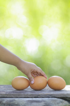 Kids holding a Egg on wooden table with shallow DOF green background.