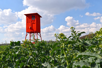 De 0844-17 Deer stand