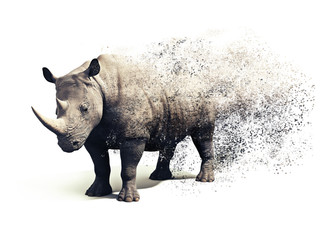 Rhinoceros on a white background with a dispersion abstract  effect. 3d rendering