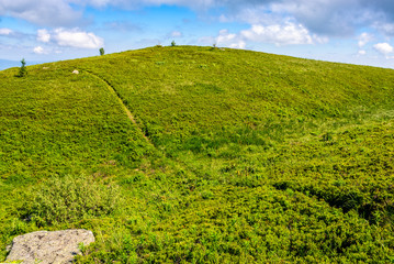 path through a meadow on mountain ridge