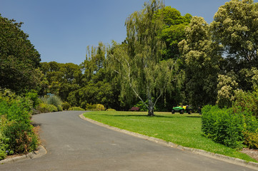 Grooming and beauty of the parks