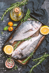 Fresh uncooked dorado