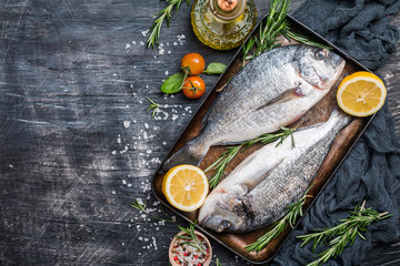 Fresh uncooked dorado