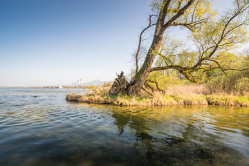 Chiemsee im Frühling, Oberbayern in Deutschland