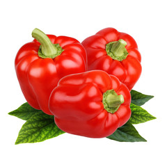 isolated  red peppers  with leaves on white background.