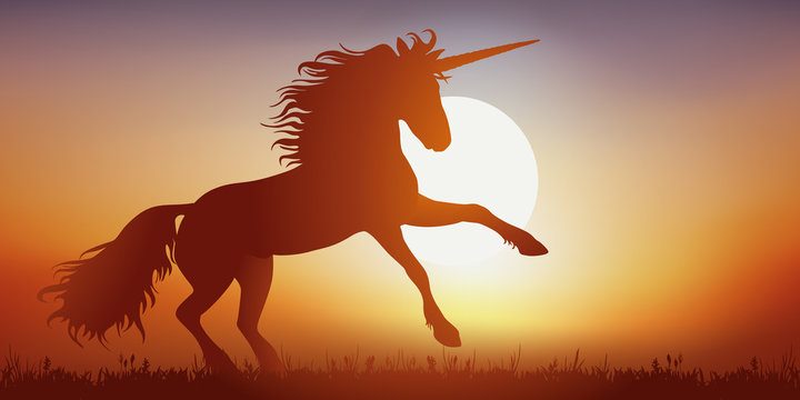 Licorne - mythologie - cheval - corne - imaginaire - fantastique - légendaire -  Coucher de soleil