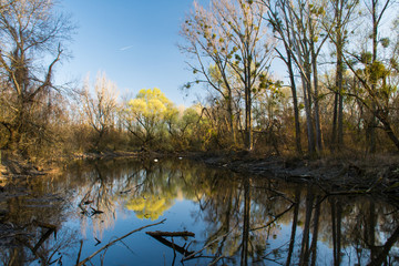 Wild nature on abandoned meander Danube protected area on spring