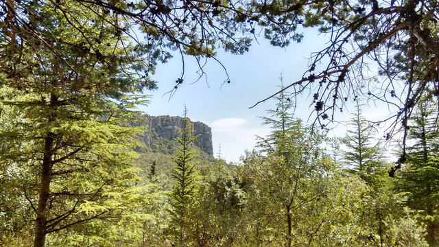 Passo di Sa Scala 'e Sa Marra, Montarbu, Sardegna (Sardinia), Falesie