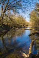 Wild nature on abandoned meander Danube protected area on spring