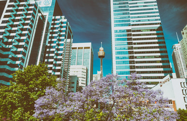 SYDNEY - OCTOBER 2015: Buildings of Darling Harbour. Sydney attracts 30 million people annually