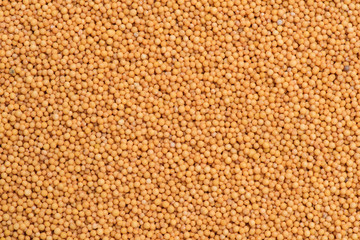 Mustard seeds for background texture