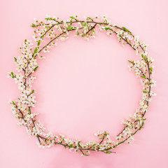 Floral frame of spring white flowers isolated on pink background. Flat lay, top view. Spring time background.