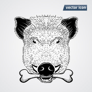 vild boar with boan vector illustration