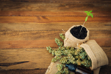 Weed, Medical Marijuana Grunge Detail 