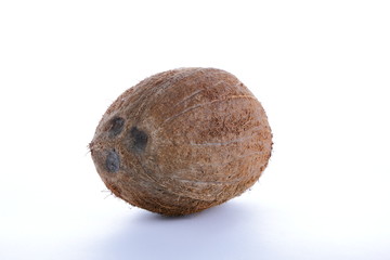 Coconut