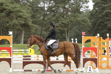 Saut obstacle équestre