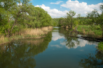 Fototapeta na wymiar Calm landscape with the river