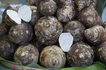 THAILAND CHIANG RAI MARKET FEGETABLE
