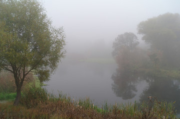 autumn landscape with yellow tree on coast of the river