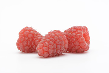 Frambuesas sobre fondo blanco