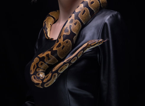 Woman and ball python