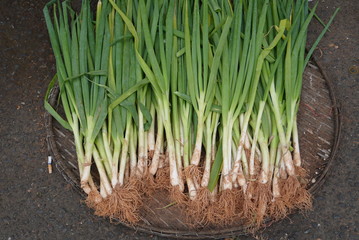 Зеленый лук