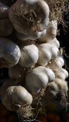 Italy: garlic 1
