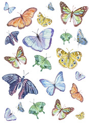 Watercolor pattern with different colorful butterflies. 