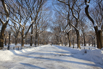 Obraz premium Central Park, New York. Beautiful park in beautiful city.