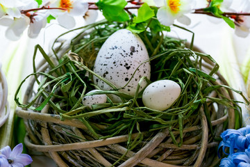Beautiful Easter eggs in nest with flowers on the wooden background