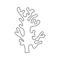 alga line drawing vector