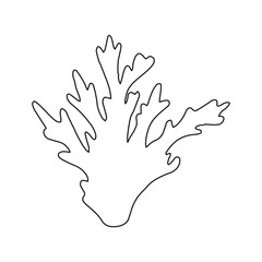 Coral line drawing vector isolated