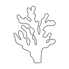 Coral linear sketch vector isolated