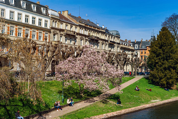 Naklejka premium Flowering springtime in Strasbourg, street view