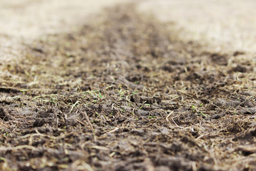 Traces of a heavy car on a wasteland in the spring.