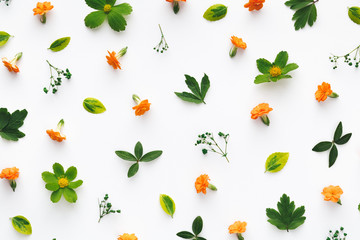 Colorful Floral Pattern