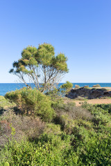 Obraz premium The Coast of Vinaroz in Castellon, Spain