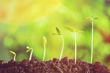 Growth.
