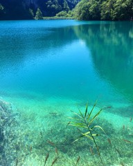 Fototapeta na wymiar Croatia Plitvice Lakes