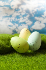 Easter eggs on the grass