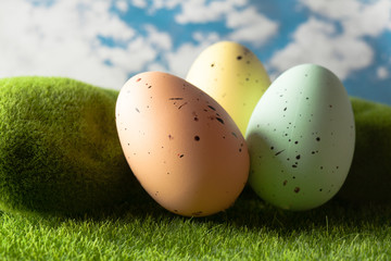 Easter eggs on the grass