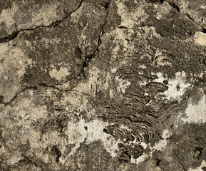 Detailed image of stone surface