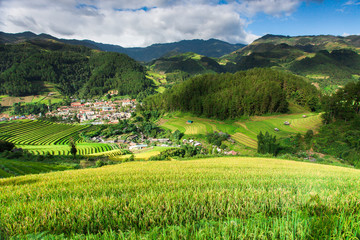 Rice fields at Northwest Vietnam