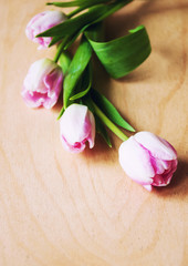 Pink tulips on wooden background - Spring background