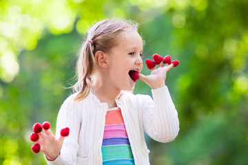 Child picking and eating raspberry in summer