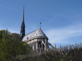 Fototapeta na wymiar Notre Dame in spring