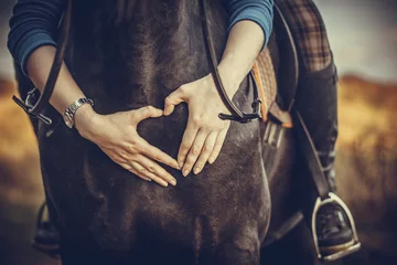 Foto op Canvas liefde voor een paard © Александра Печорина