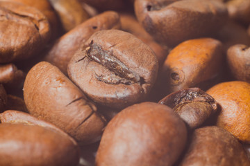 Coffee grains very close-up, macro photography